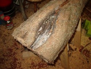 irregularly shaped stump in workshop