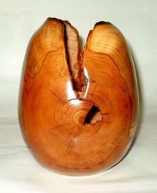 finished woodturned hollow form