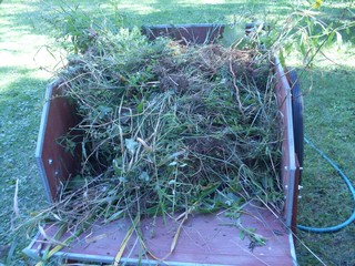 garden cart is full of material for the compost pile 