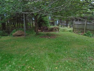 view of the compost bed from the patio