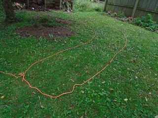  marking off the rough area of the shrub bed with rope