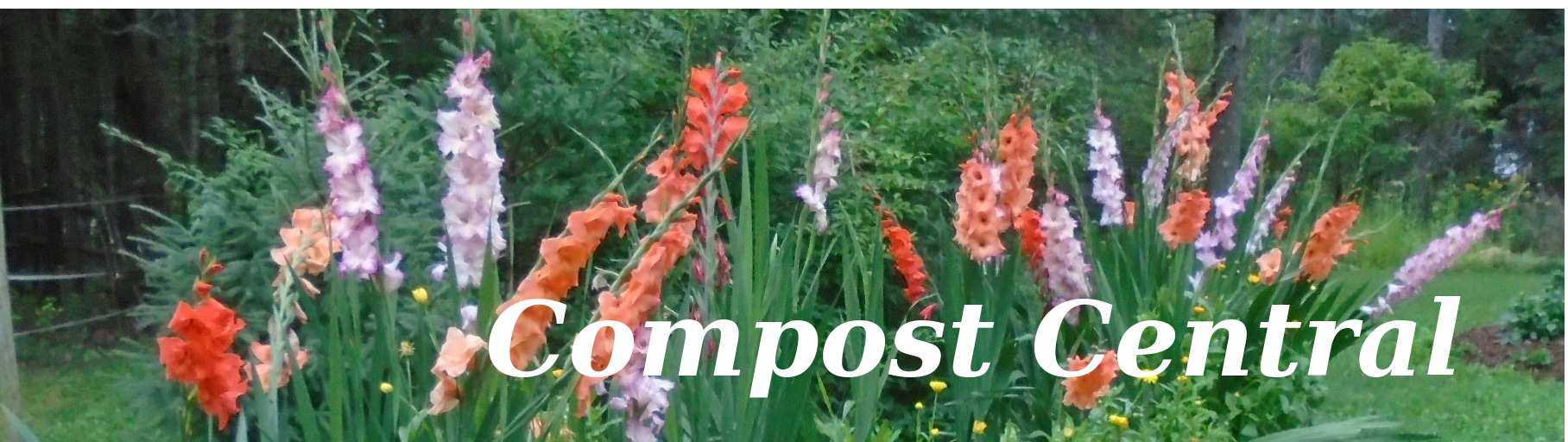 logo image for compost central