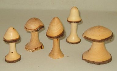 small mushroom image
