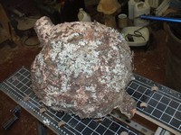 woodturning project: burl blank