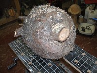 woodworking lathe subject: spruce burl