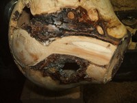 woodturning project: detail challenges