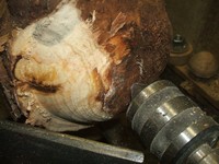 wood turning design: burl aspects
