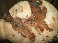 woodturning information