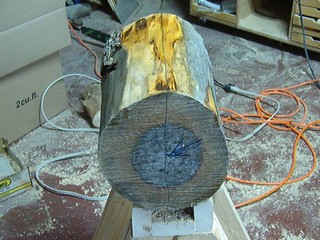 small log on a sawbuck ready to be sawn to working form