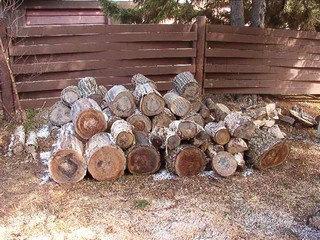 firewood ready to be turned to bowl blanks